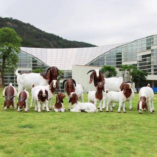 波尔羊玻璃钢雕塑户外景区庭院牧场农场草坪园林景观小品摆件