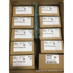 000KS42 KS42 100 0009E 000德国PMA温控器 0009F