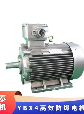 鸿泰隔爆三相异步电机tYBX4-160L-6t11KWt380Vt隔爆结构合理