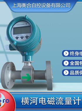 YOKOGAWA横河DN25法兰AXF080G-D1AL1N-BD21-41BB电磁流量计