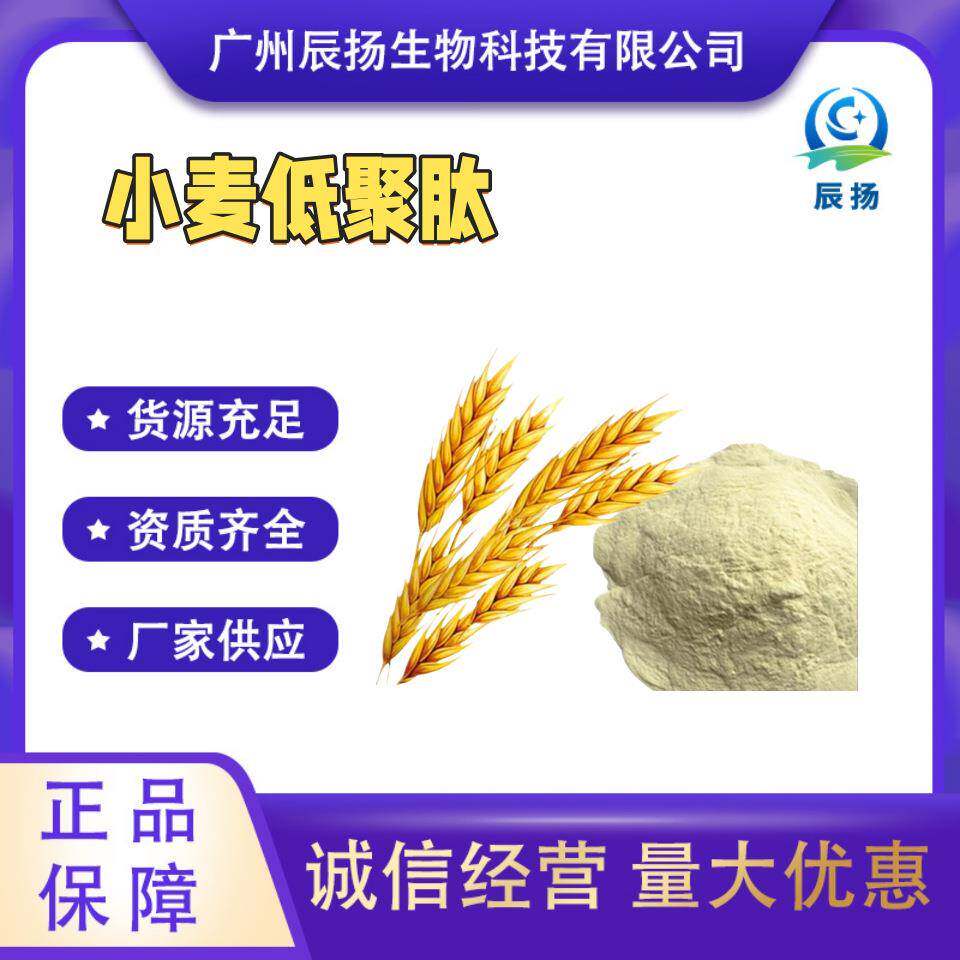 现货供应小麦低聚肽小麦蛋白肽固体饮料水解小麦低聚肽粉小麦肽