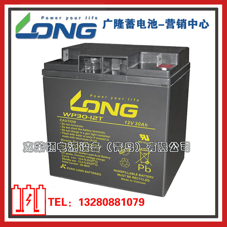 LONG广隆蓄电池WP30-12T/12V30AH直流屏EPS电源蓄电池-现货营销