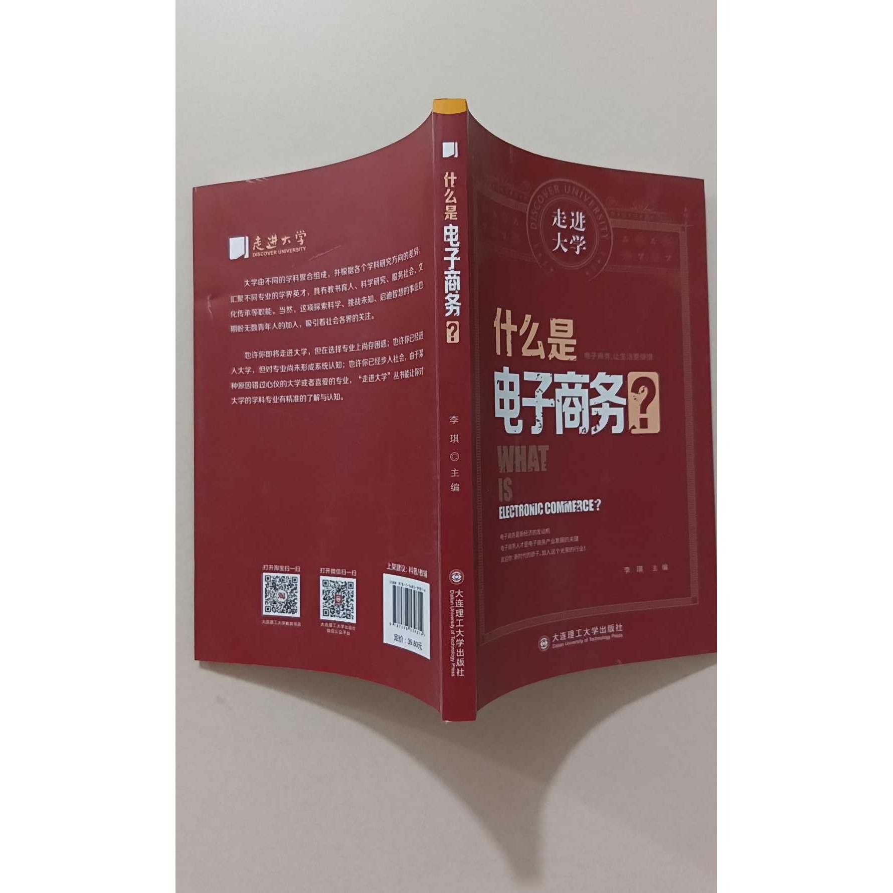 正版二手实拍什么是电子商务 走进大学系列丛书李琪  著9787568539814大连理工大学出版社