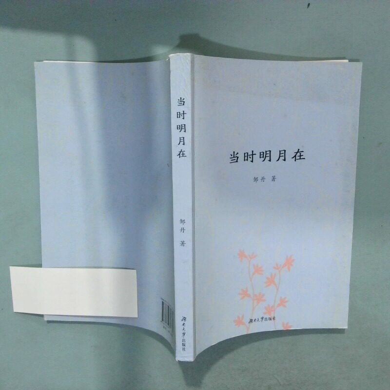 正版二手实拍当时明月在  邹丹著 湖南大学出版社邹丹 著9787566716354湖南大学出版社