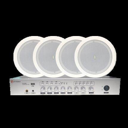 Hivi/惠威4只惠威喇叭套装TD206吊吸顶喇叭搭配40W定压功放