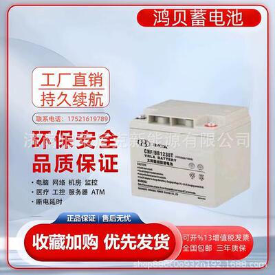 BATA鸿贝蓄电池FM/BB12100T 12V100AH通讯基站 电力UPS电源直流屏