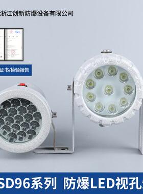 创新BSD96防爆视孔灯5W10W20W30W观察反应釜探照灯探照12/24/36V