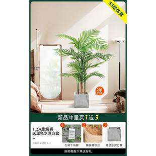 树仿仿真奢树绿植T1b09pC5高端轻植物造景室内盆栽装摆设生花饰散