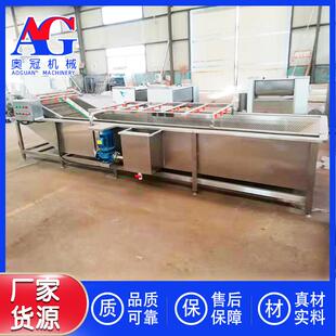 青毛豆清洗机器小黄姜大姜生姜鼓泡浸泡喷淋清洗机杨梅清洗机