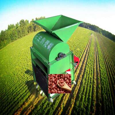 80型长生果种剥壳机小型家庭长果脱壳机榨油厂用花生扒皮机