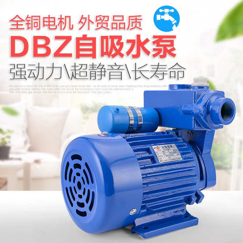 DBZ电动单相自吸泵 农用家用增压泵 闽东水泵 口径25MM耐用