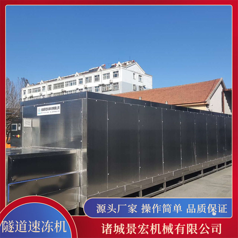 小龙虾液氮速冻机设备 鸭肠鹅心速冻隧道 商用冻豆腐单冻机