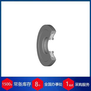 供应瑞士DOMSEL轴封WDR90x110x10TypAFPMSt6.0bar