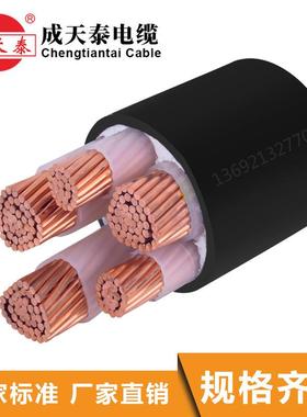 国标成天泰电缆YJV3X240+2X120mm2铜芯足米