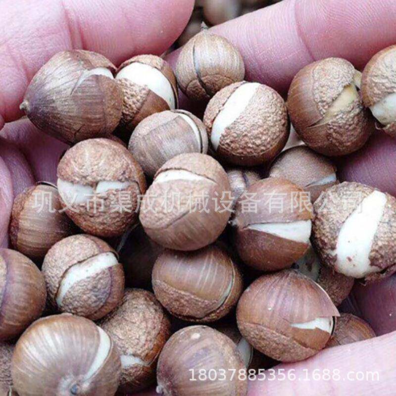 现货多功能苦槠籽剥壳机橡子粉择子籽脱壳机设备腰果板栗剥壳机