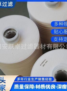 PA9501340-VW滤油机滤芯S729P67格美撒系列用于精细过滤器