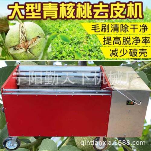 大型青核桃去皮机核桃剥皮清洗一体机山核桃小型电动核桃刷洗机