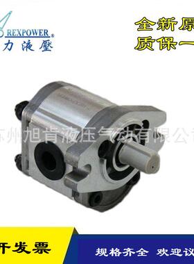 锐力REXPOWER齿轮泵RGP-F316/F317/F318/F319RN-K4