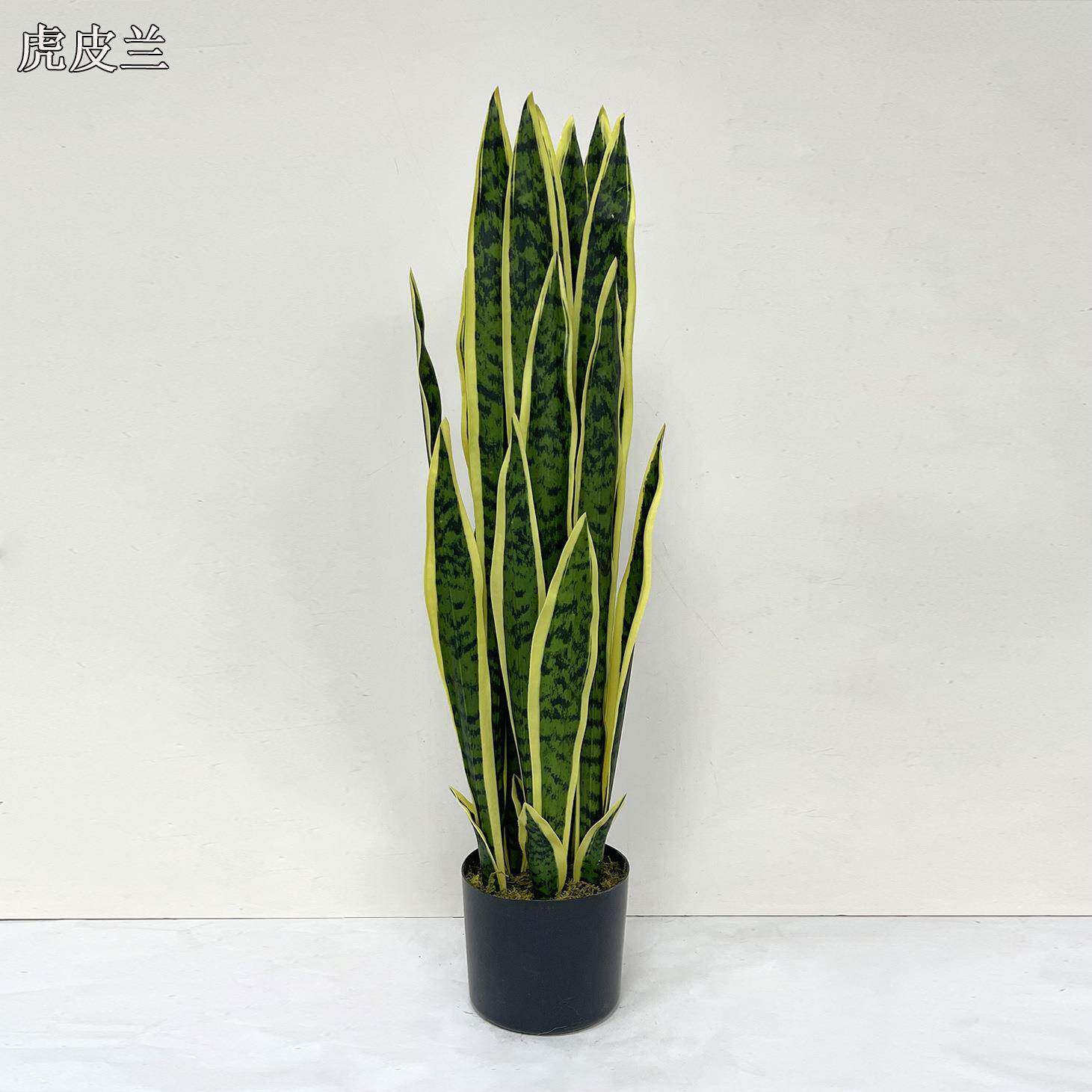 虎皮兰仿真绿植小型植物落地家居假花盆栽室内办公室盆景北欧装饰
