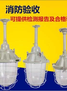 防爆灯100W200W250W400W仓库用工厂车间隔爆型工程专用灯防爆灯具
