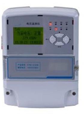 电压监测仪型号:YL12-DT60库号：M377179