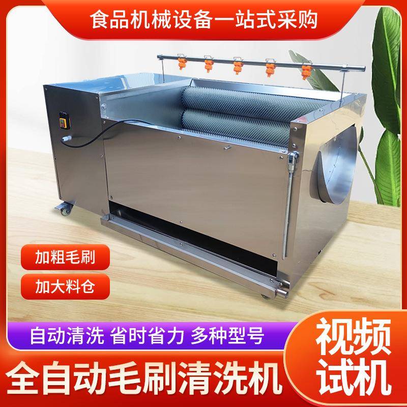 猪头猪蹄鸡爪清洗机牛蹄生蚝毛辊清洗机商用胡萝卜红薯芋头清洗机