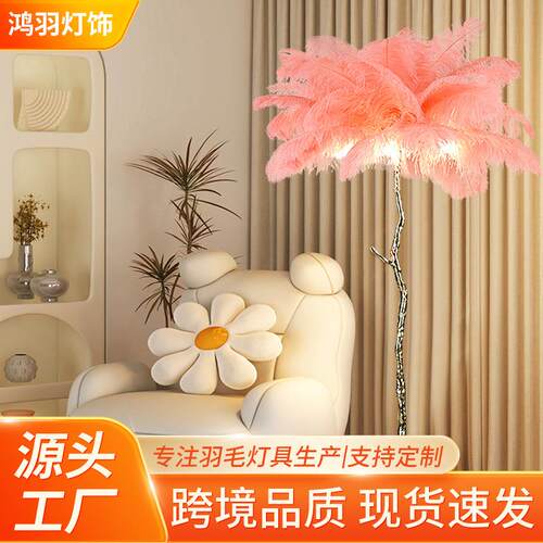 鸵鸟羽毛落地灯高级感客厅灯全铜家用现代简约卧室床头氛围羽毛灯