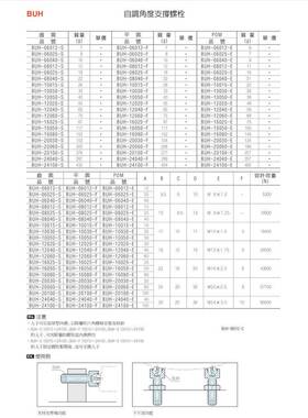 自調角度支撐螺栓BUH