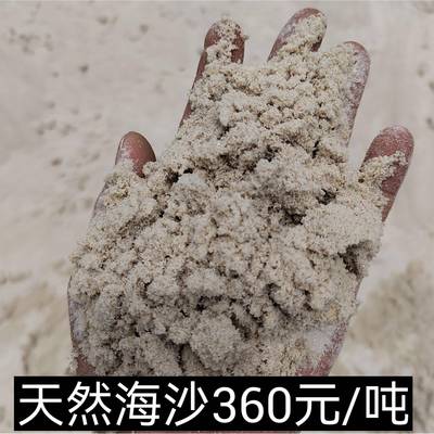 天然海砂烘干砂铸造砂儿童玩乐砂直销偃师舞钢汝州林州卫辉