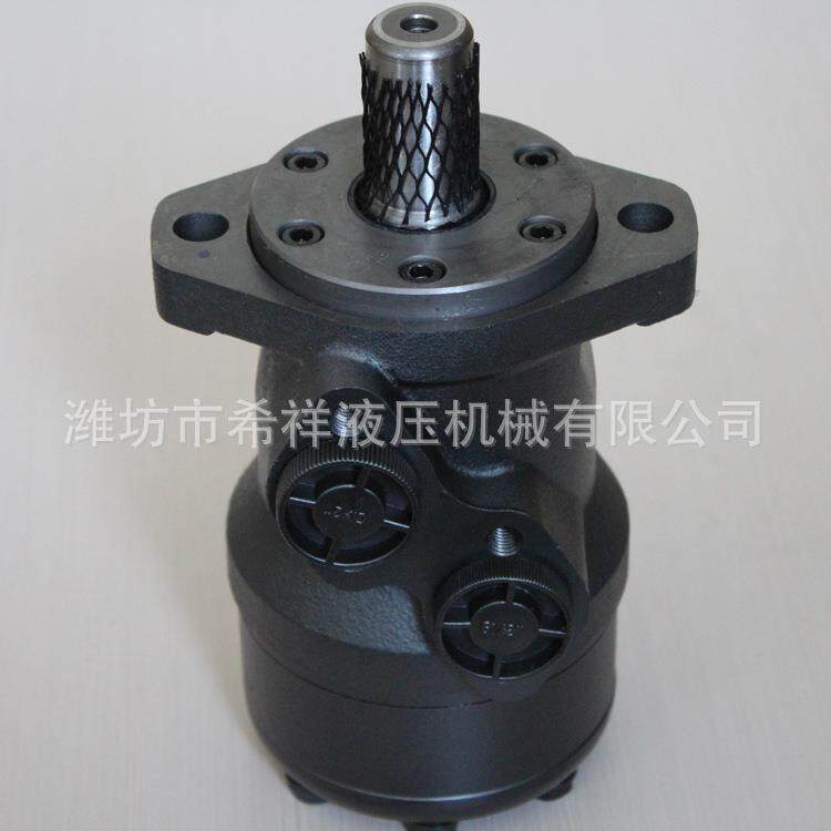 液压马达BMR系列低速大扭矩正反旋转驱动总成高速船用摆线油马达