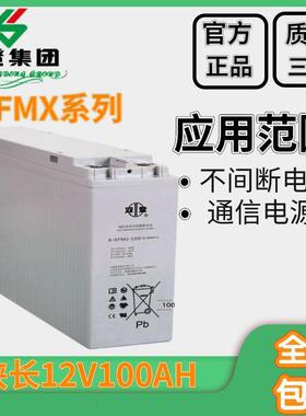 Shoto/双登狭长型蓄电池6-FMX-100B12V100AH发电储能通讯基站