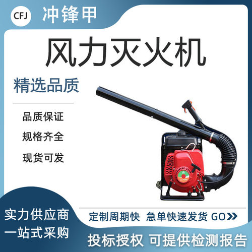 大棚吹雪园林吹落叶机6MF-23-51B背负式风力灭火机(EB985)吹灰机