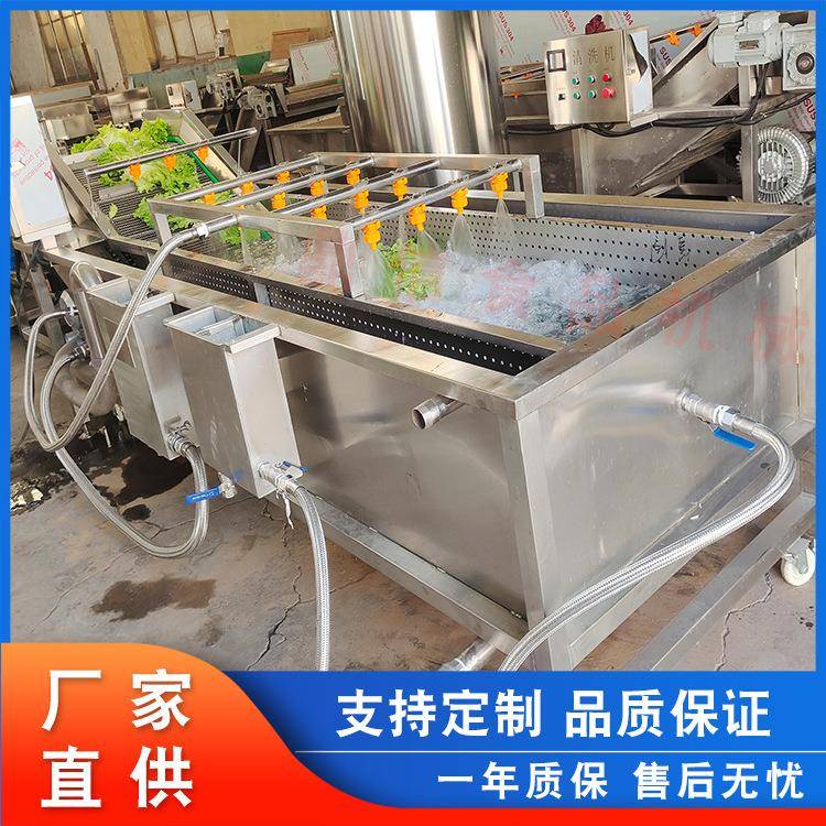 辣椒喷淋气泡清洗机山楂清洗机设备大枣清洗生产