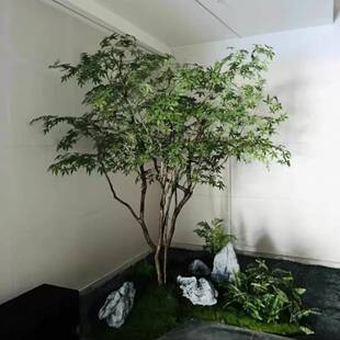 仿真绿枫树鸡爪槭室内绿植青枫树造景装饰造景枯山水干景假树景观