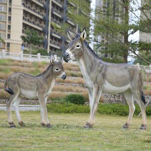 仿真毛驴玻璃钢树脂1∶1摆火锅店街区农场动物模型雕塑装饰工艺品