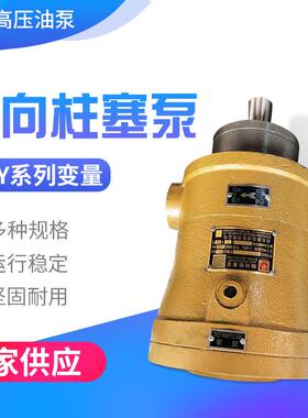MCY14-1B系列CY系列轴向柱塞泵液压泵高压油泵精工牌启东高压油泵