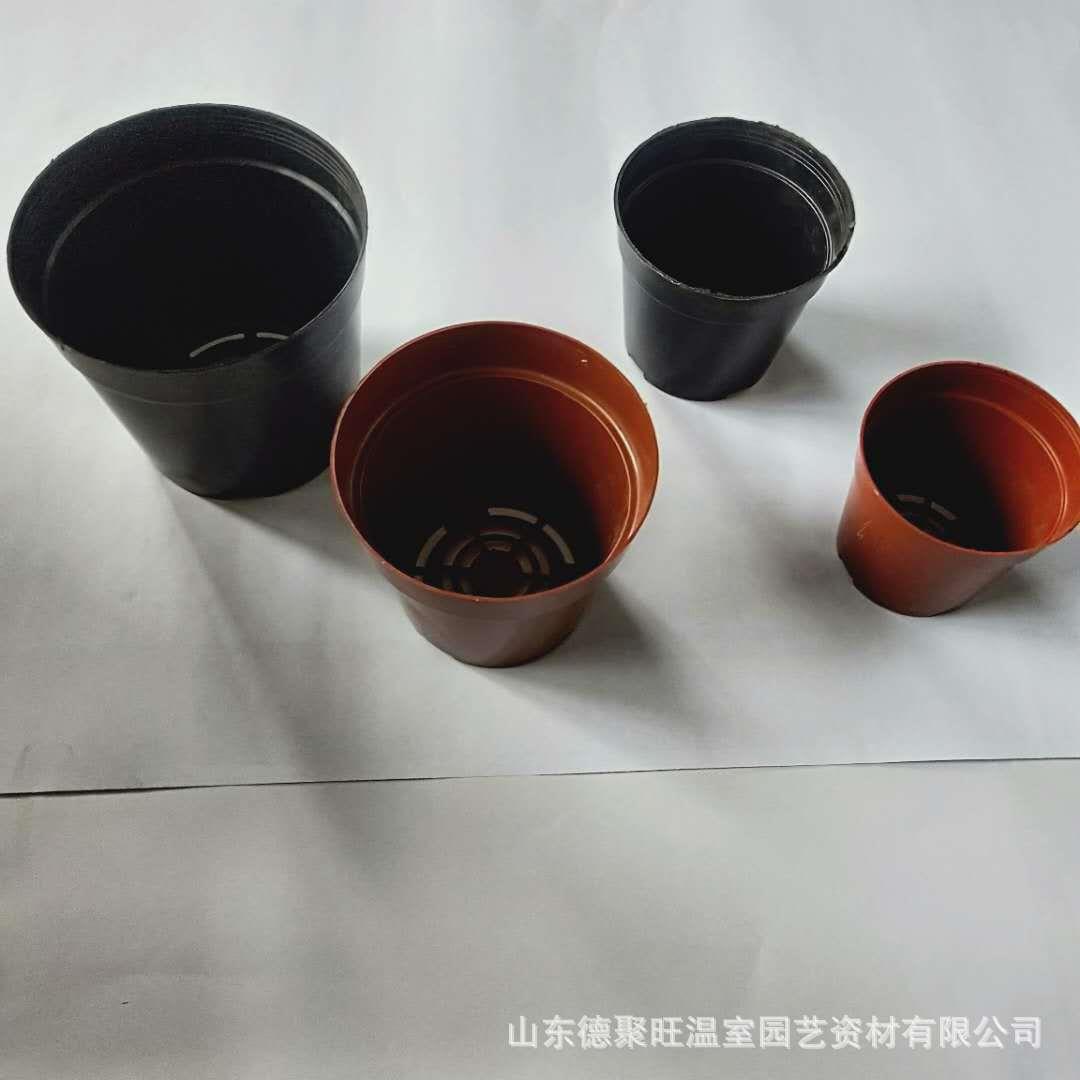 直边花盆塑料花盆圆黑盆圆红盆多规格基地育苗种植盆网底