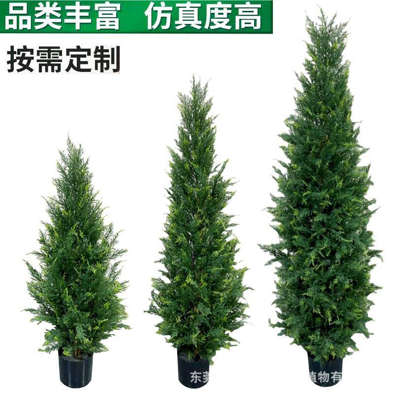 松柏树盆栽松树绿植圣诞树造景树圣诞节装饰摆件供应真