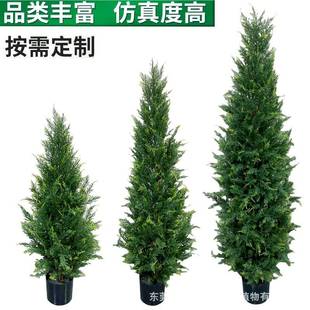 松柏树盆栽松树绿植圣诞树造景树圣诞节装饰摆件供应真