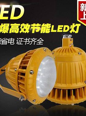 FGV1246-LED免维护节能防爆泛光灯20W30W40W50W支架式立杆式安装