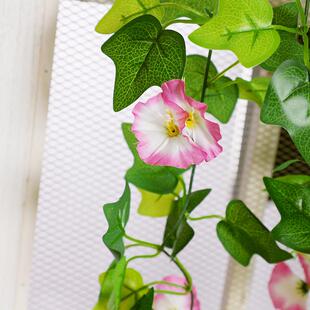 仿真绿植壁塑挂篮料装饰牵牛花喇叭花假花艺室内造景遮吊挡仿真牵