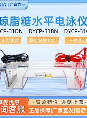 北京六一DYCP-31DN实验室琼脂糖核酸凝胶制胶器电泳仪电源电泳槽