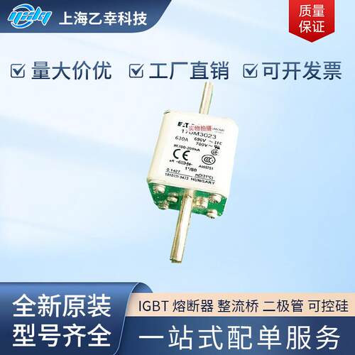 巴斯曼熔断器170M3188170M3189170M3190170M3191170M3192