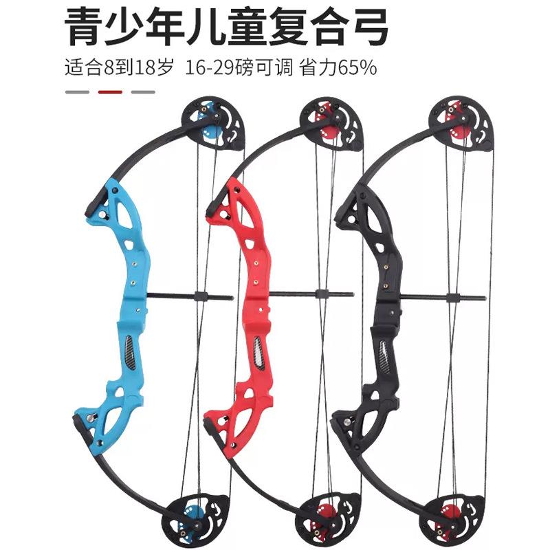 儿童复合滑轮弓箭套装青少年射箭器材入门可调节磅数拉锯