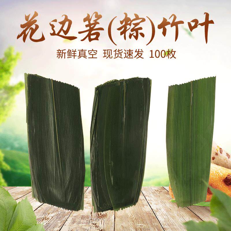 新鲜现货花边箬(粽)竹叶包粽子原叶摆盘装饰粽子叶真空包装粽叶