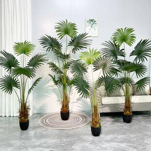 仿真盆栽加州蒲葵扇葵树北欧风假绿植圆叶蒲装饰摆件落地室内盆景