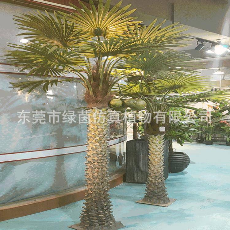 仿真植物扇葵树扇叶葵葵扇叶蓬扇树葵扇木扇葵竹铁力木家居装饰