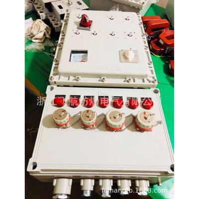 防爆照明配电箱BXM53-9KDAC22V/380V