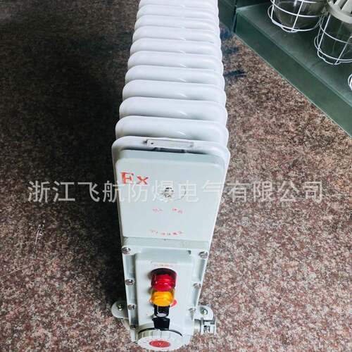 防爆油汀防爆电暖器(电热油汀)BDR-□YR系列