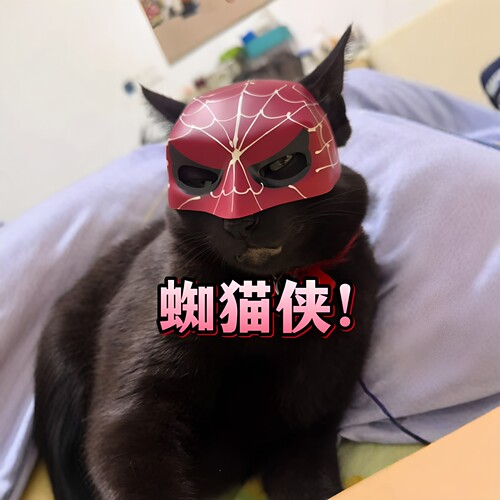 搞怪猫咪蜘蛛侠面罩大小猫型适用